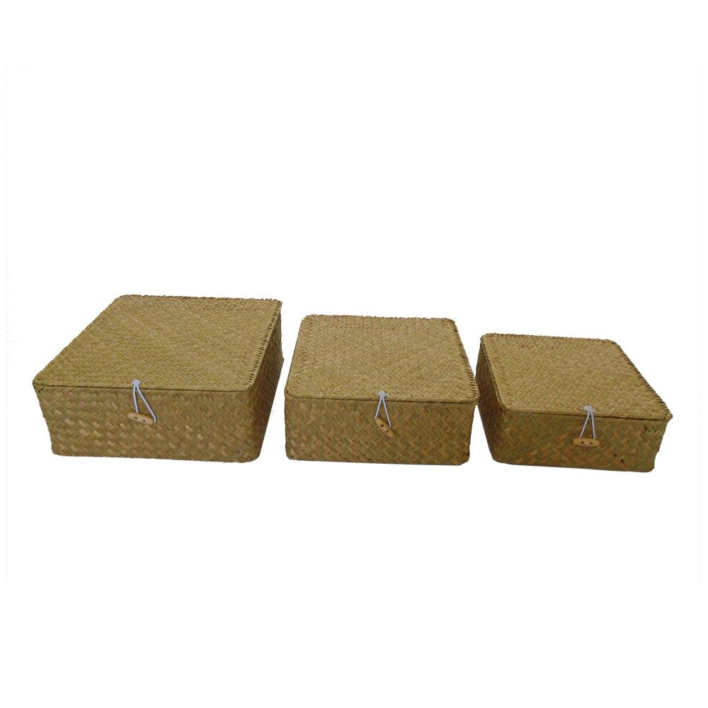 Conjunto de Cestas SunWoven em Palha Natural - Tout Decora